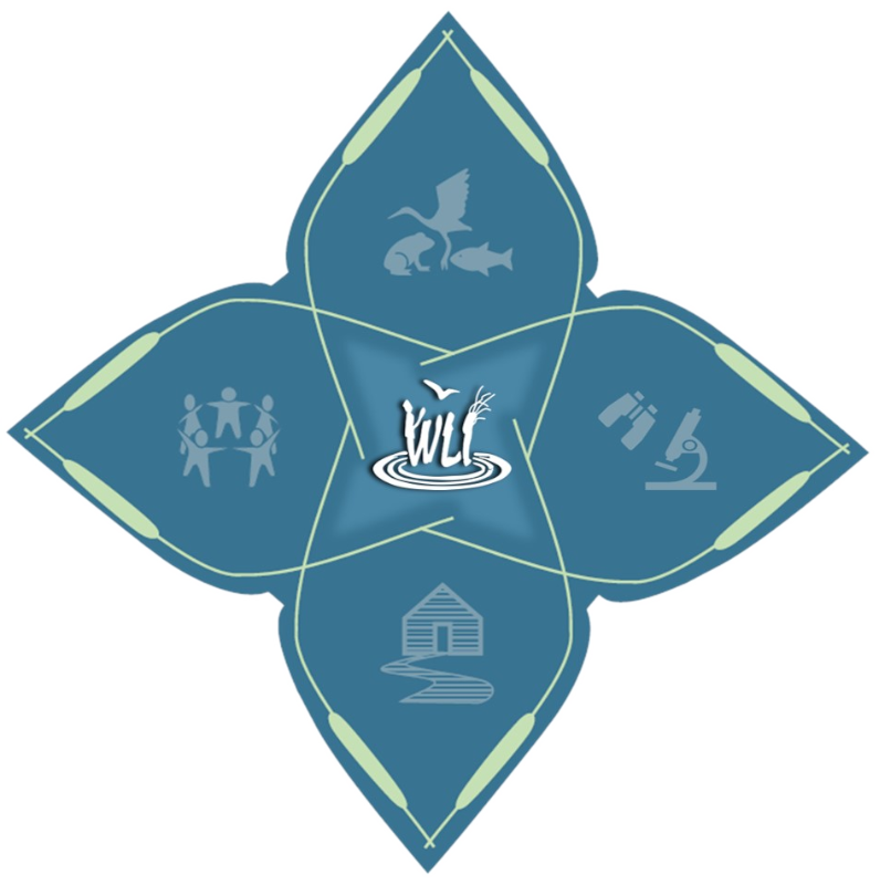 wli-star-logo-1-to-1-.png