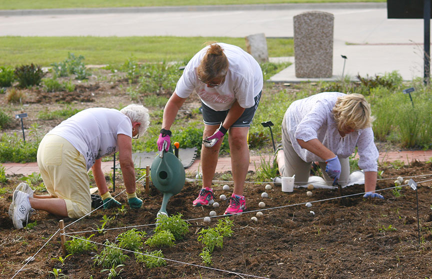 volunteers