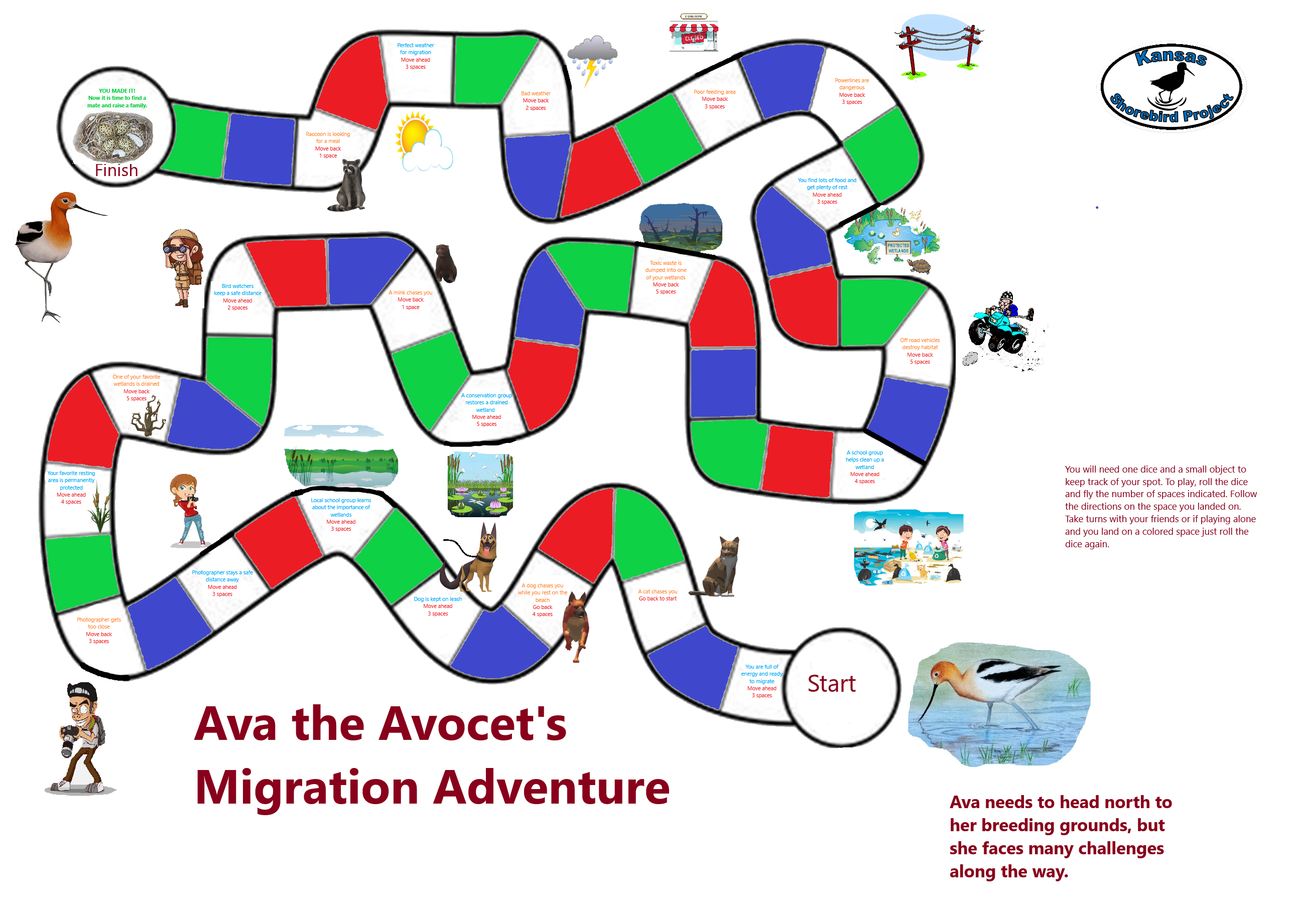 ava-the-avocet-migration-adventure-1.png