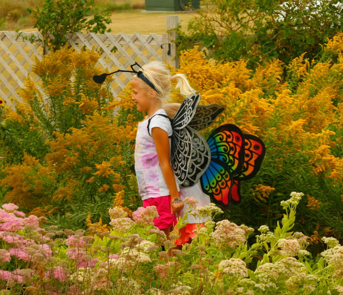 butterfly-garden-a1.jpg