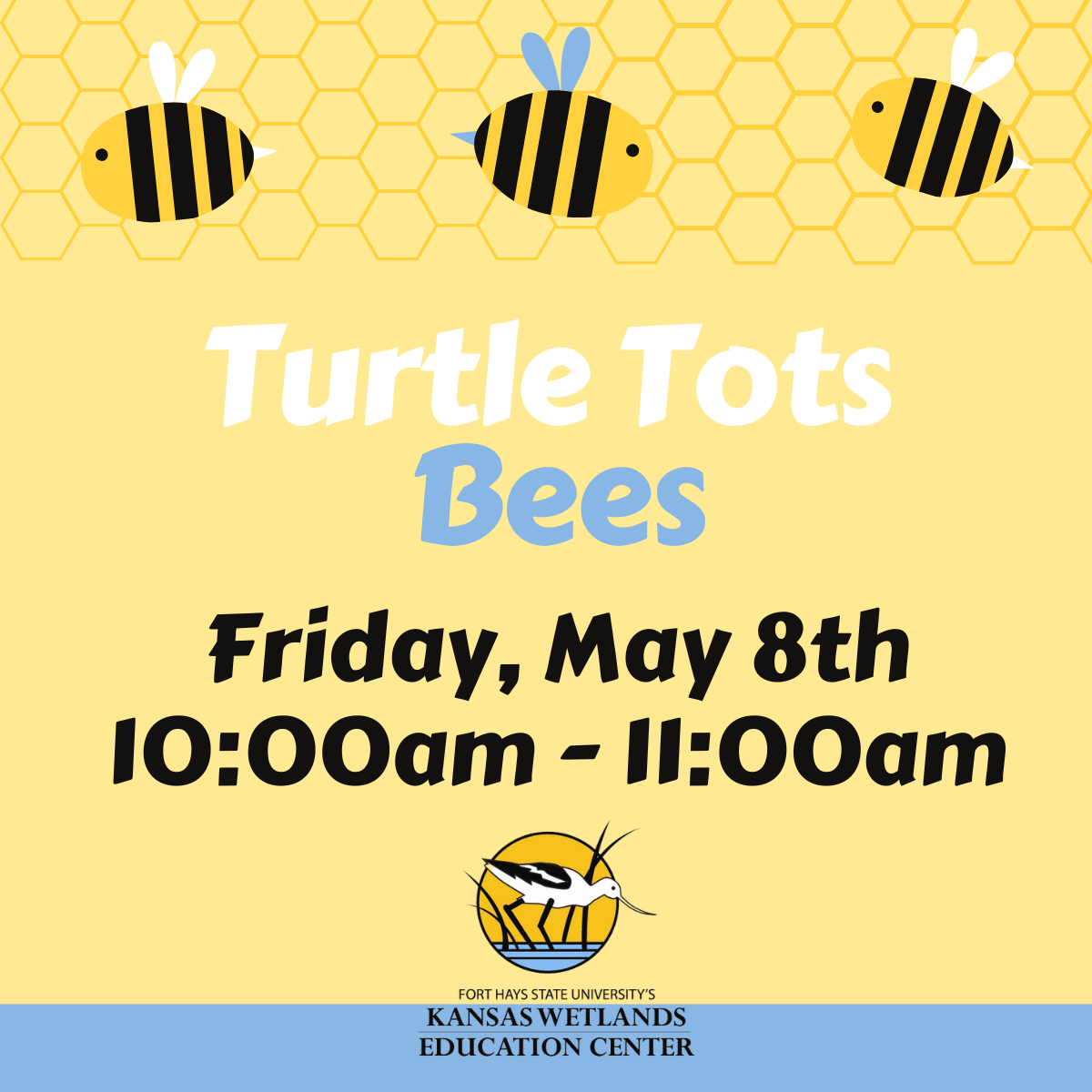 Turtle Tots - Bees