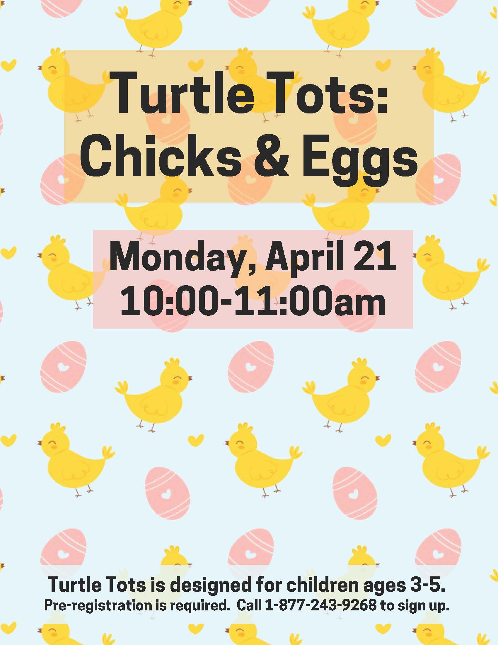 turtle-tots-chicks-eggs-1.jpg