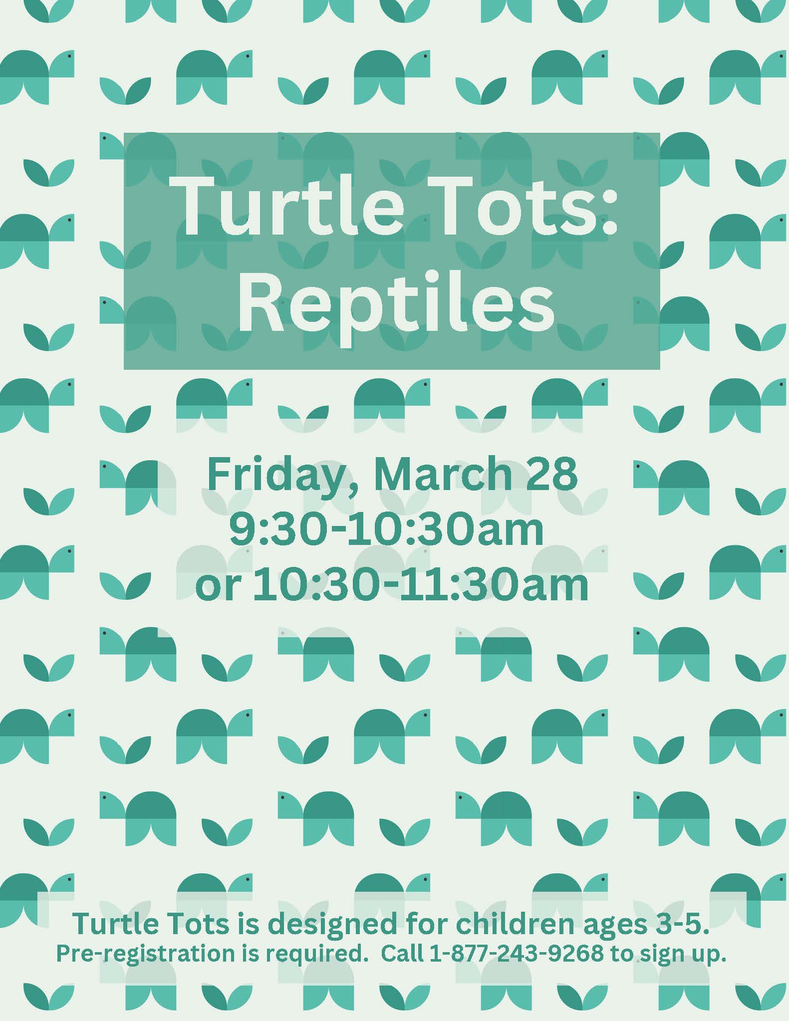 turtle-tots-reptiles.jpg