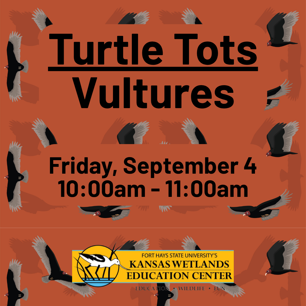 turtle-tots-vultures-website.png