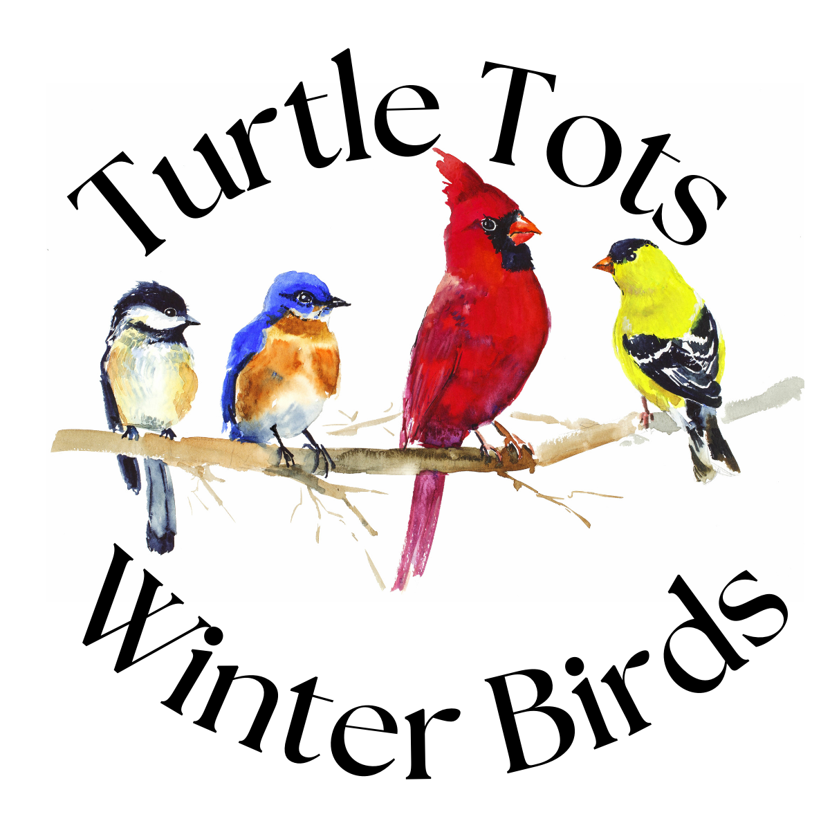 turtle-tots-winter-birds-website-image.png