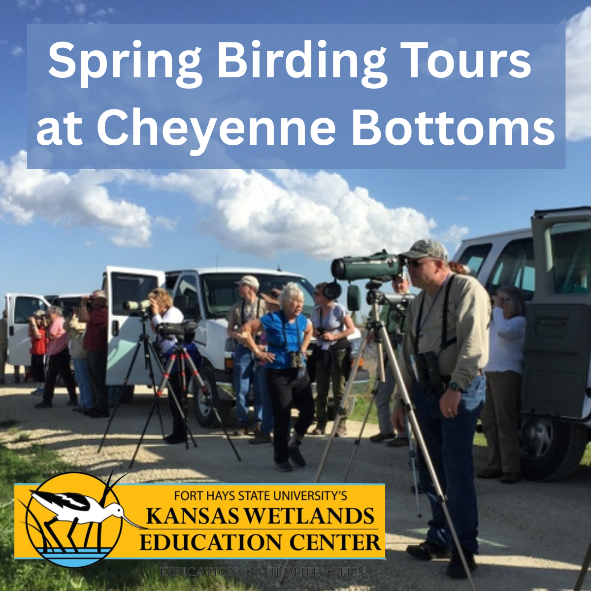 Spring Birding Tours